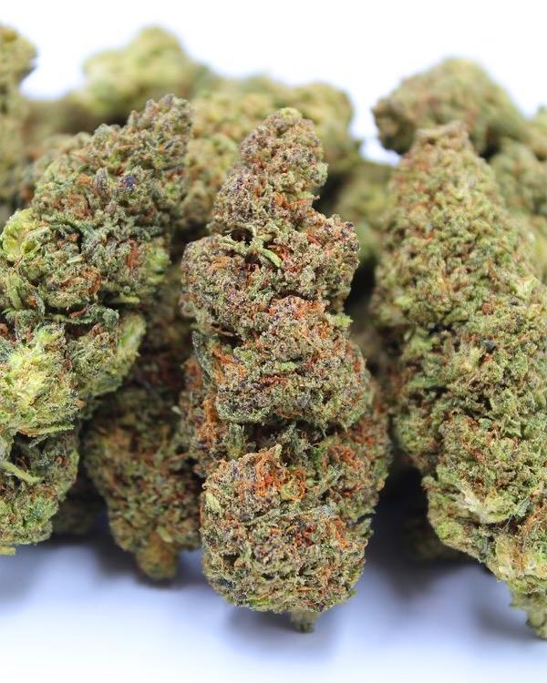 Purple Yumbrella