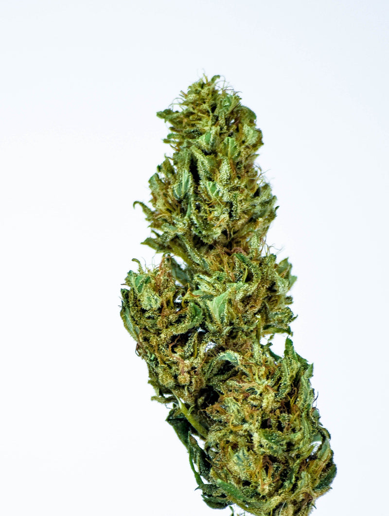 Dopemary's Electra Hemp Flower- Organic