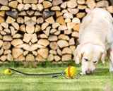 Outdoor Dog Chewing Rope Ball