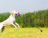 Outdoor Dog Chewing Rope Ball